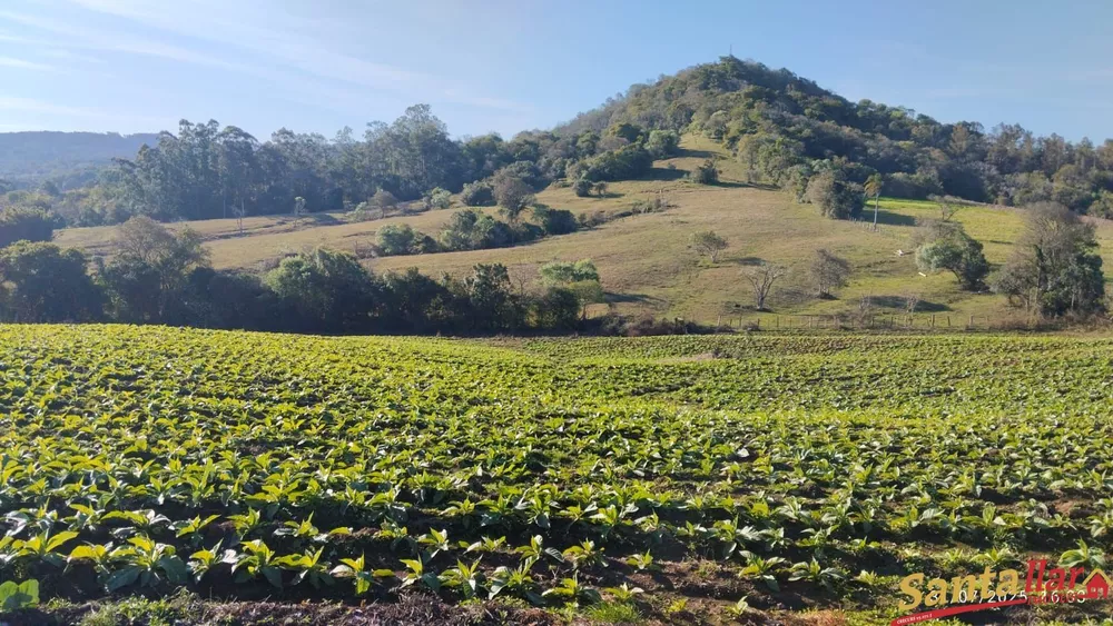 Chácara, 2 quartos, 1 hectares - Foto 13