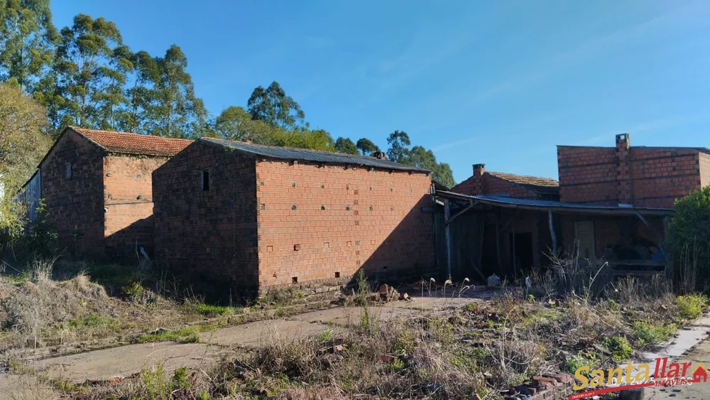 Chácara, 2 quartos, 1 hectares - Foto 14