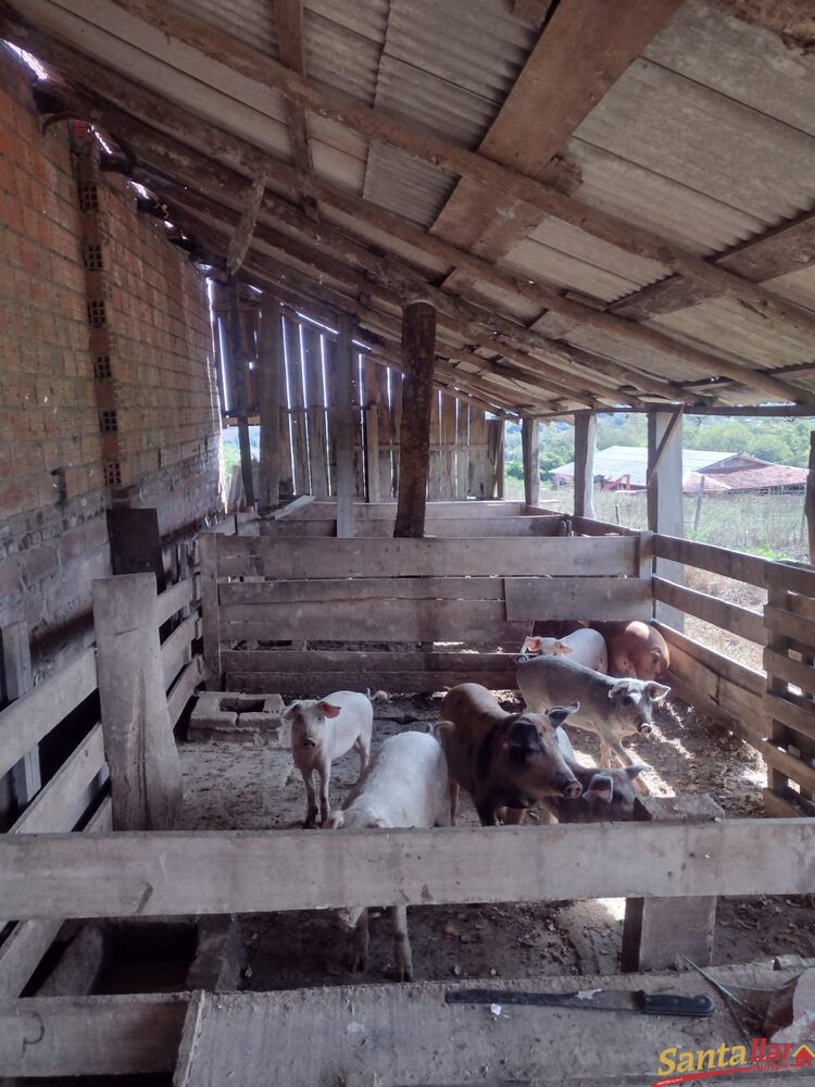 Chácara, 2 quartos, 1 hectares - Foto 8