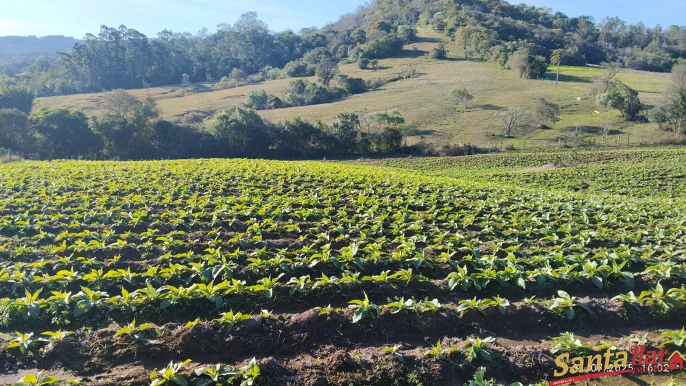 Chácara, 2 quartos, 1 hectares - Foto 11