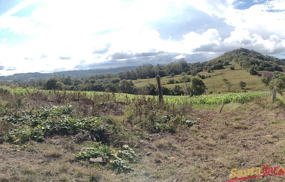 Chácara, 2 quartos, 1 hectares - Foto 15