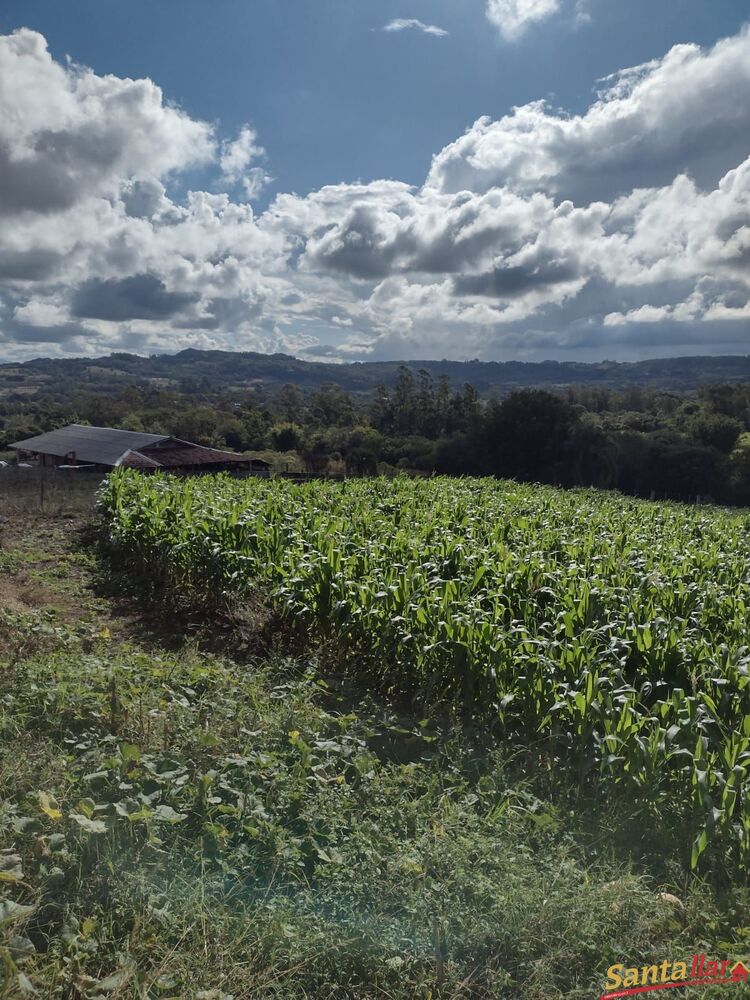 Chácara, 2 quartos, 1 hectares - Foto 17