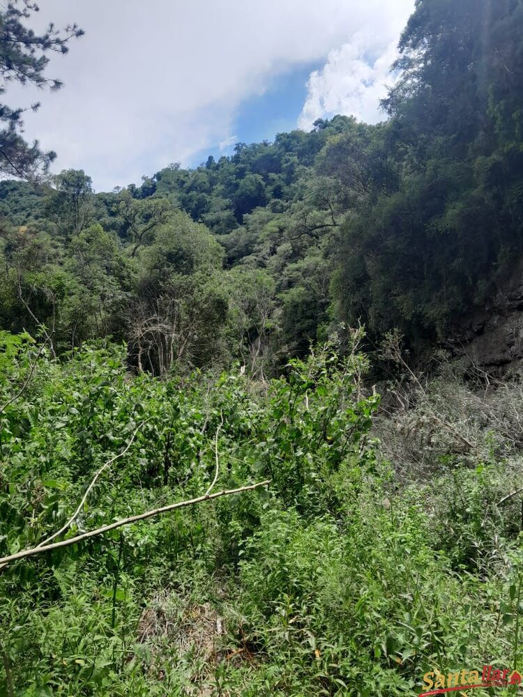 Chácara à venda, 110000m² - Foto 8
