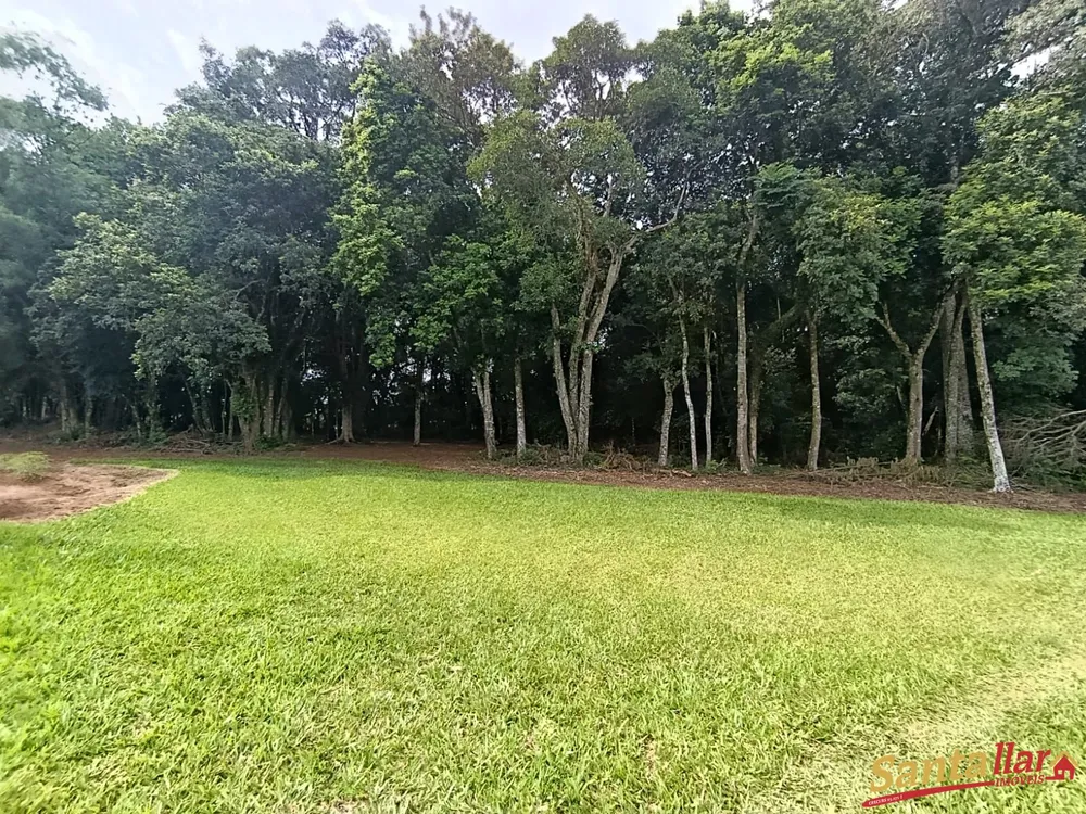Chácara, 4 hectares - Foto 2