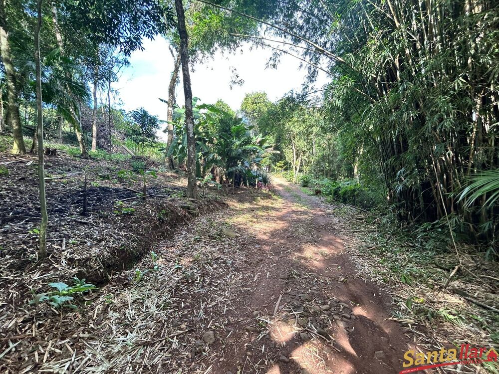 Chácara à venda com 1 quarto, 40m² - Foto 1