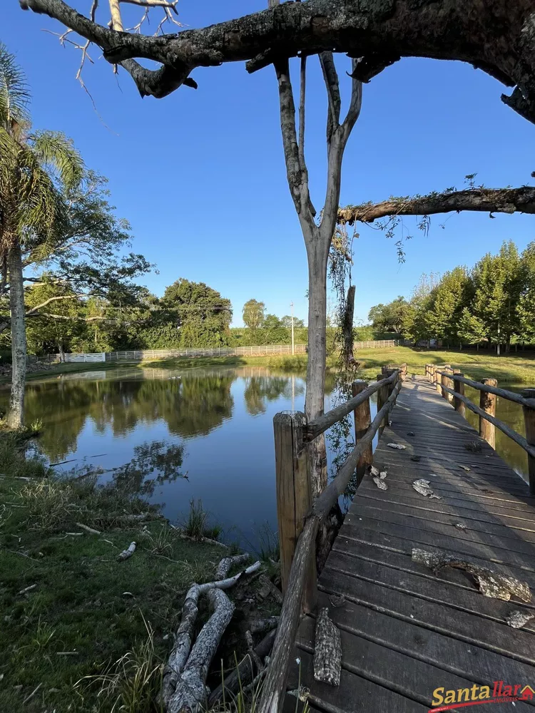 Fazenda à venda com 7 quartos, 350m² - Foto 4