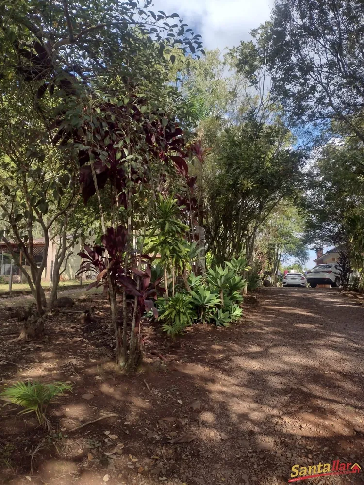 Chácara, 3 quartos, 10000 m² - Foto 5