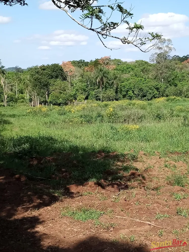 Sítio, 15 hectares - Foto 12