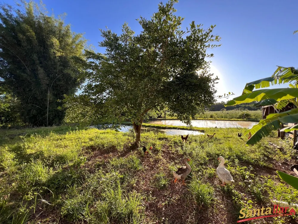 Chácara, 3 quartos, 2 hectares - Foto 8