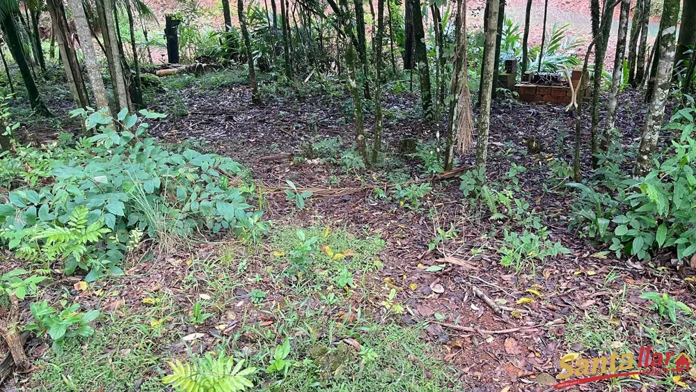 Chácara, 2 quartos, 3000 m² - Foto 14