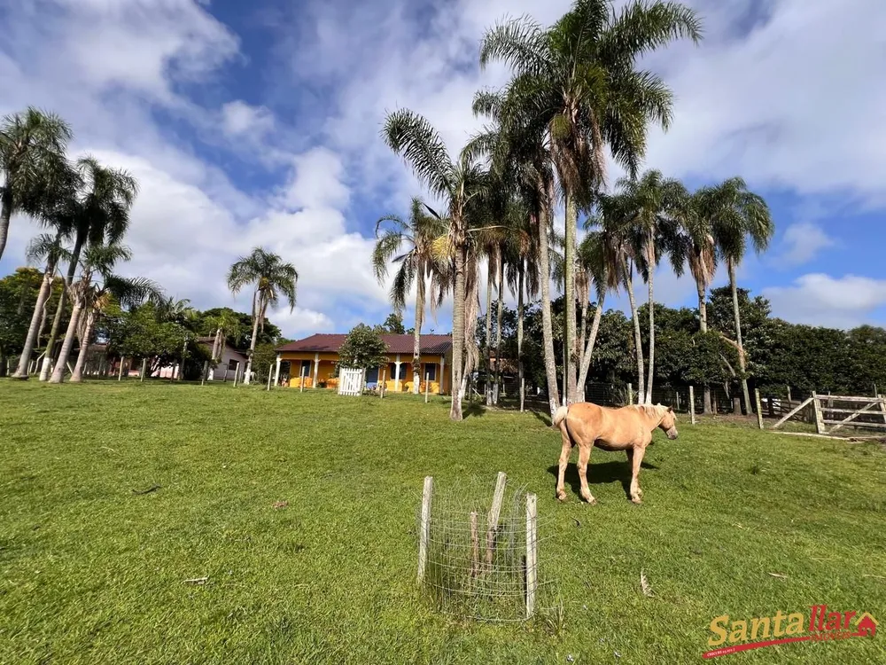 Sítio, 7 quartos, 21 hectares - Foto 12