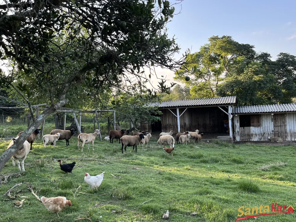Sítio, 7 quartos, 21 hectares - Foto 3