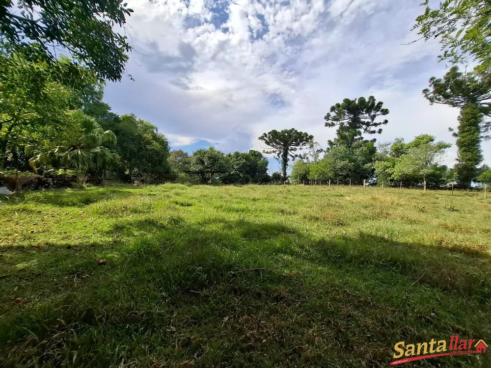 Chácara, 10000 m² - Foto 1