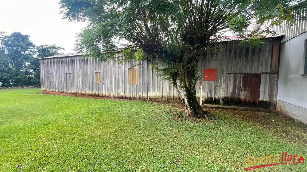 Chácara, 4 quartos, 10000 m² - Foto 9