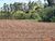 Loteamento e Condomínio, 10000 m² - Foto 1