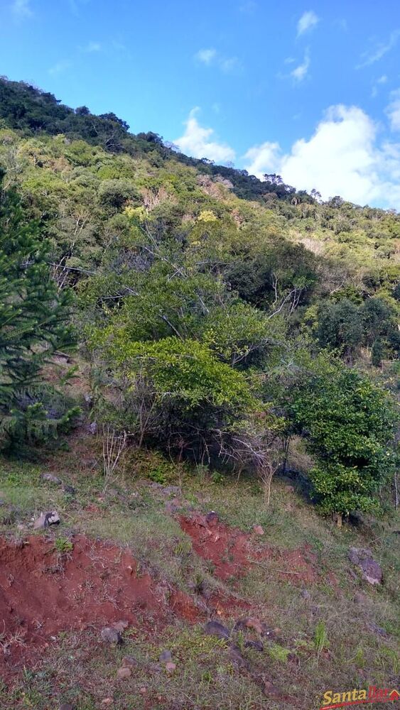 Loteamento e Condomínio à venda, 120000m² - Foto 1