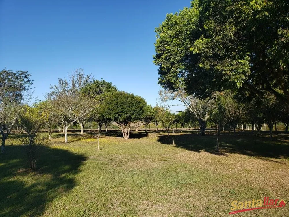 Sítio, 3 quartos, 8 hectares - Foto 2