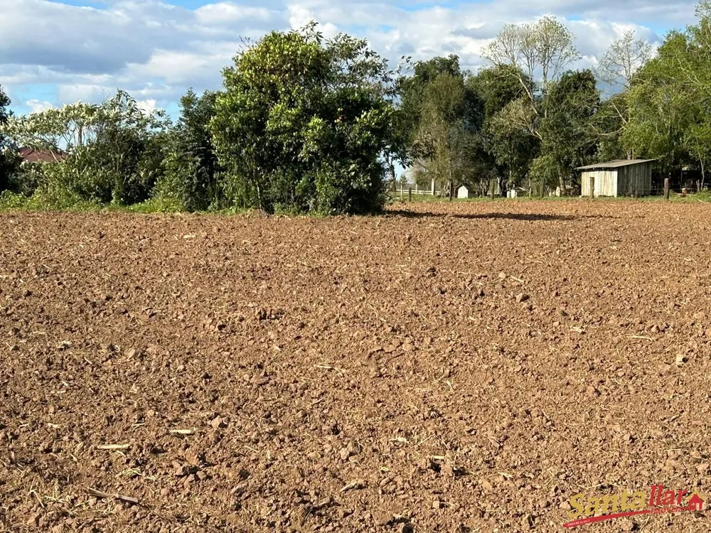 Terreno, 10000 m² - Foto 2