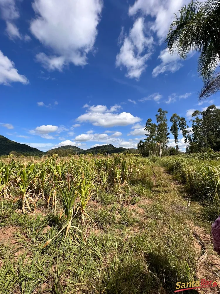 Chácara, 1 hectares - Foto 1