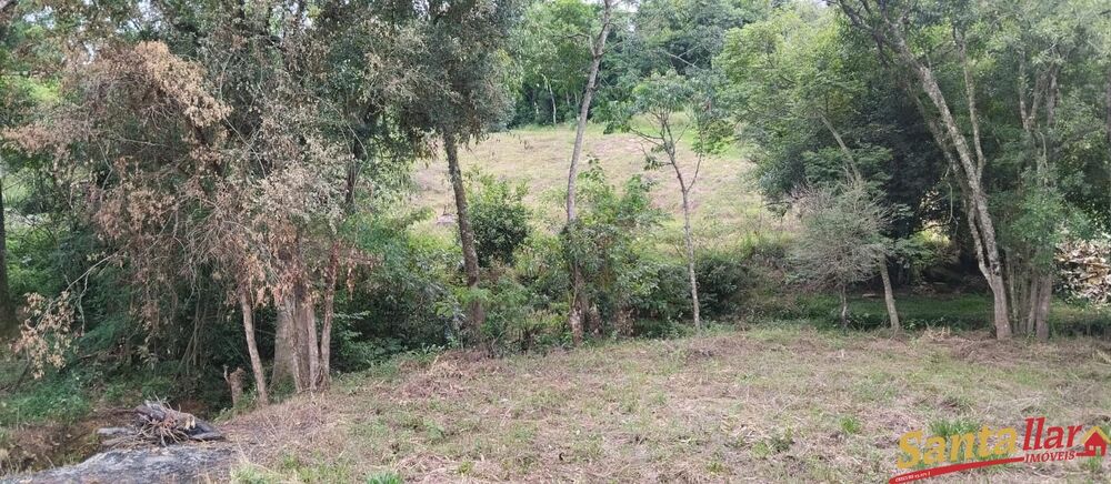 Chácara à venda com 2 quartos, 100m² - Foto 4