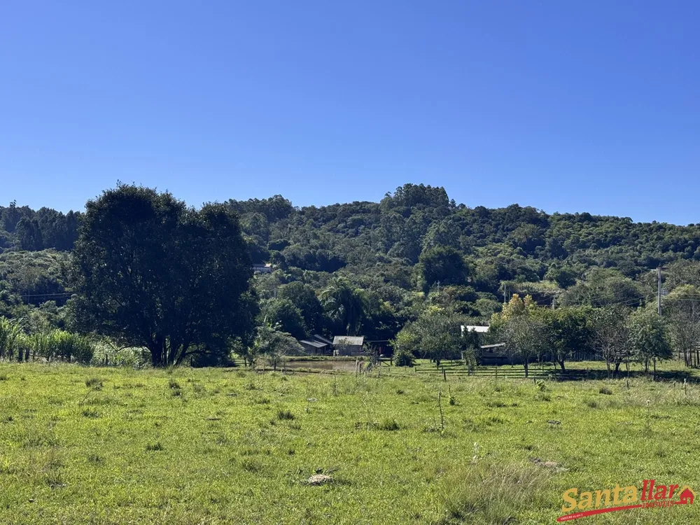 Chácara, 2 quartos, 2 hectares - Foto 6