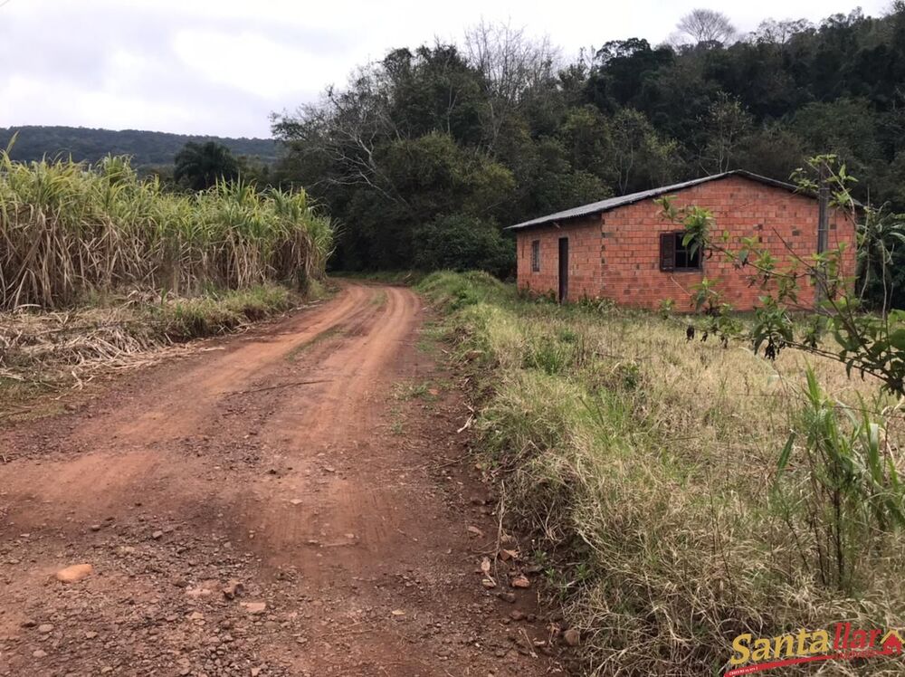 Chácara à venda com 3 quartos, 18000m² - Foto 2