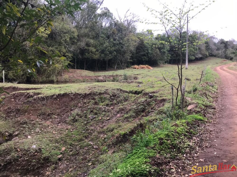 Chácara à venda com 3 quartos, 18000m² - Foto 6