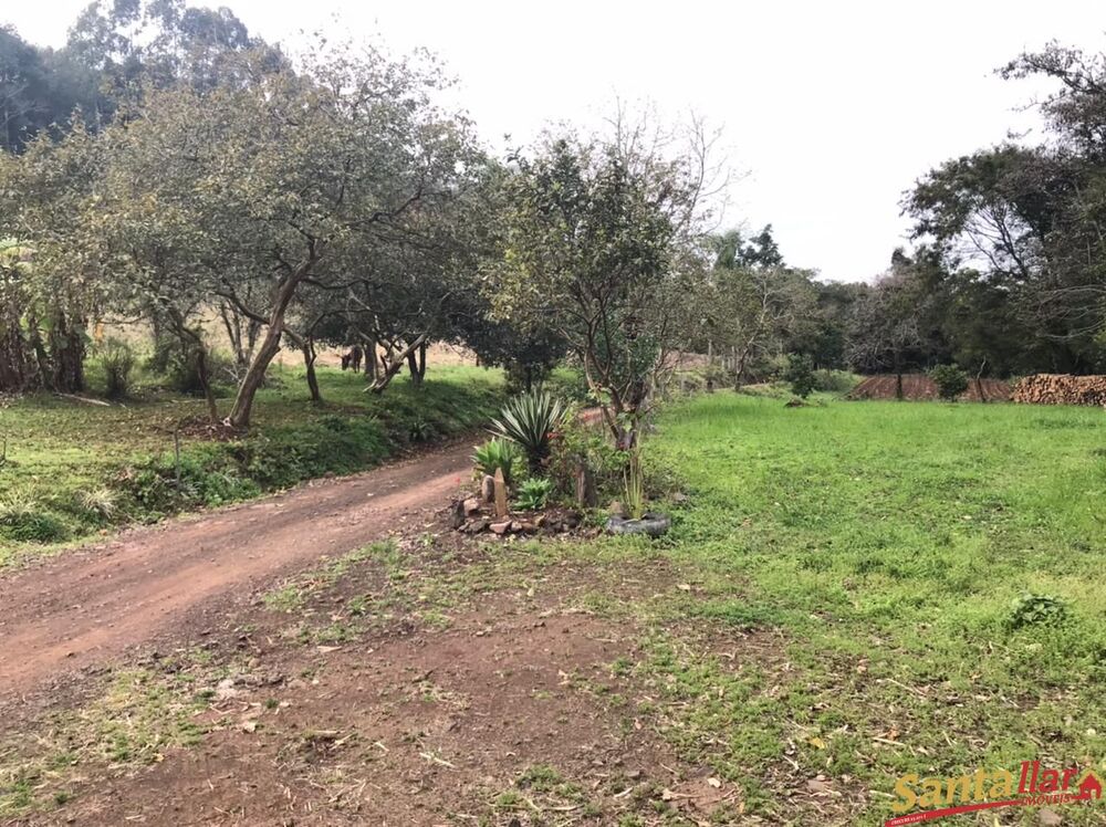 Chácara à venda com 3 quartos, 18000m² - Foto 1