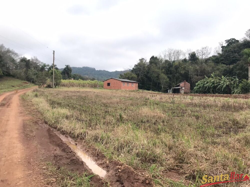 Chácara à venda com 3 quartos, 18000m² - Foto 3