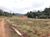 Chácara, 3 quartos, 2 hectares - Foto 3