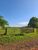 Chácara, 5 hectares - Foto 2