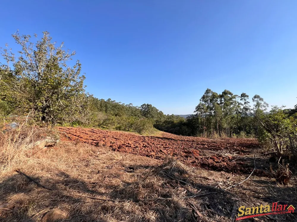 Sítio, 3 quartos, 13 hectares - Foto 12
