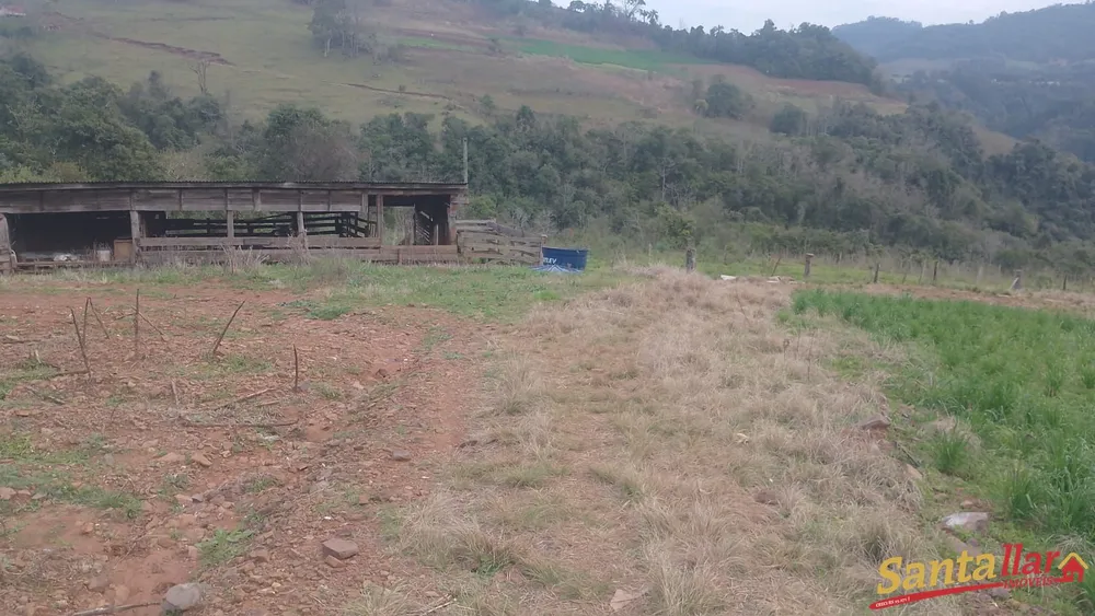 Sítio, 40 hectares - Foto 6