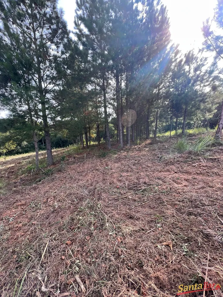 Terreno, 2 hectares - Foto 6