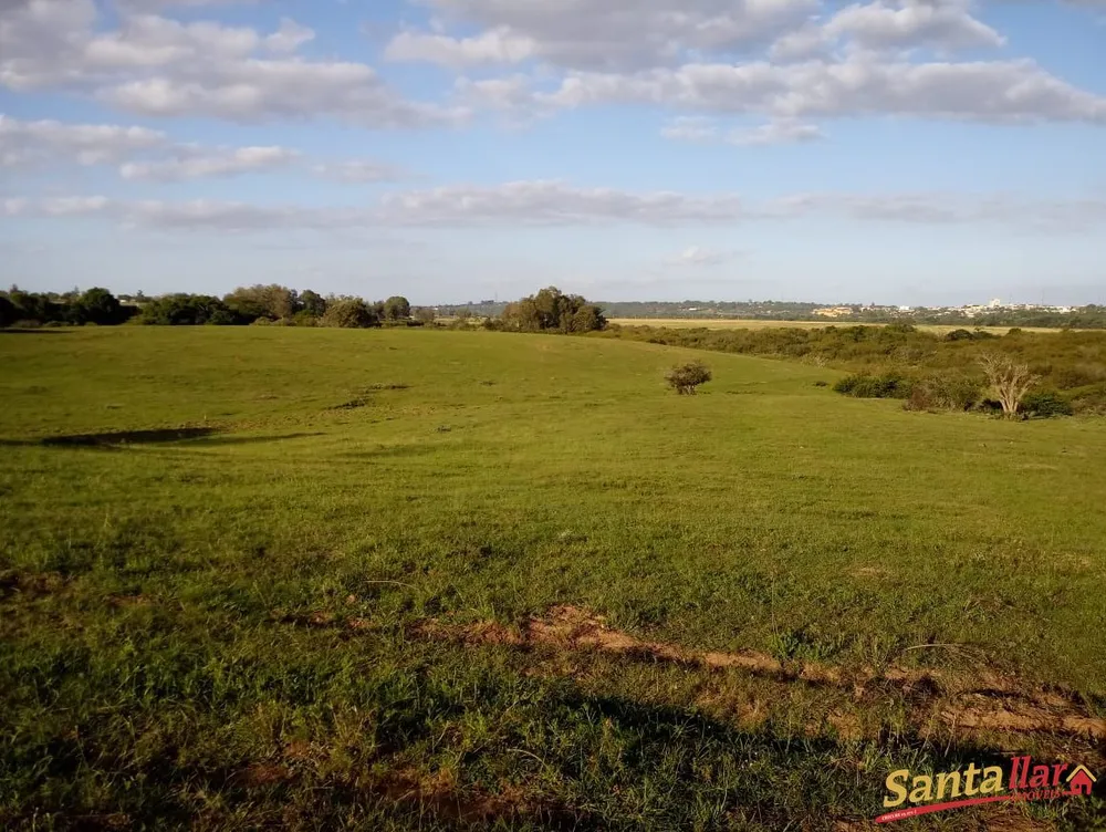 Fazenda, 24 hectares - Foto 2