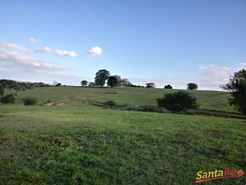 Fazenda, 24 hectares - Foto 4