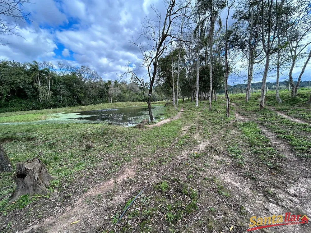 Sítio, 4 hectares - Foto 16