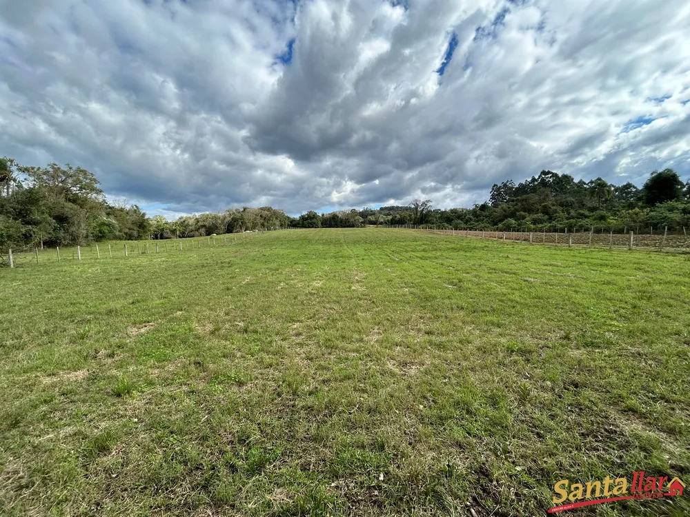 Sítio, 4 hectares - Foto 9