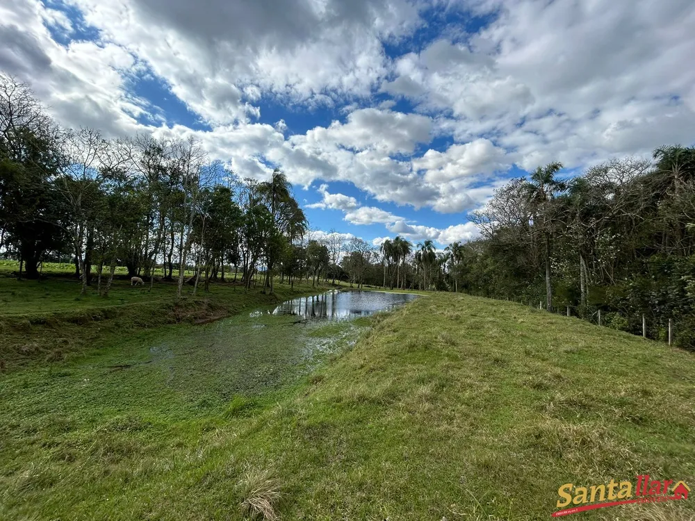 Sítio, 4 hectares - Foto 11