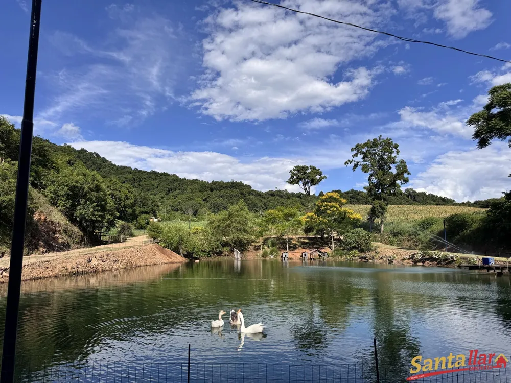 Chácara, 3 quartos, 4 hectares - Foto 12