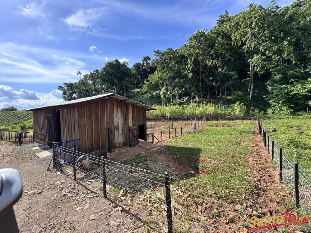 Chácara, 3 quartos, 4 hectares - Foto 11