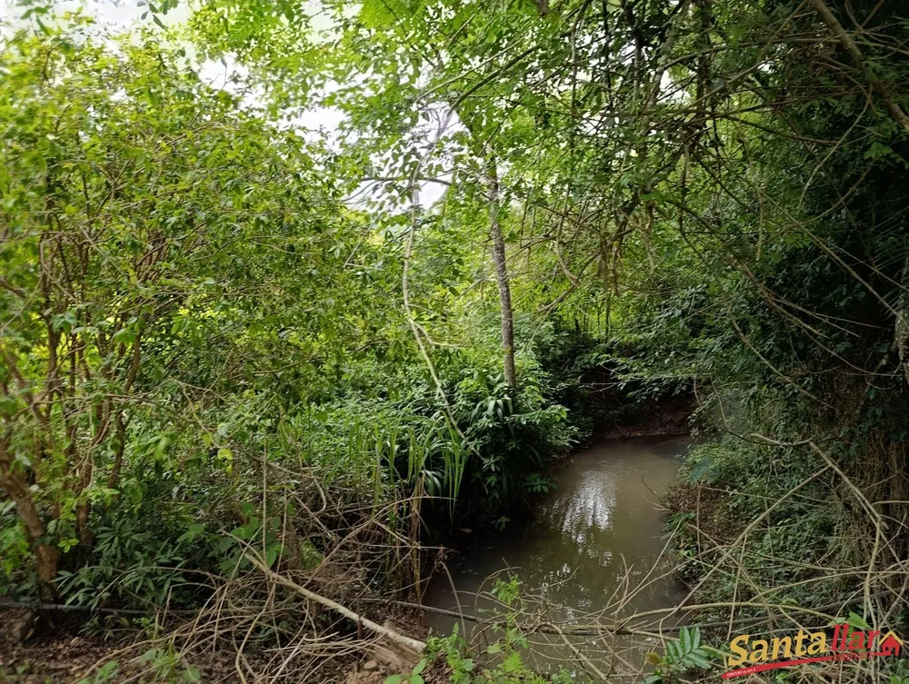 Chácara, 3 quartos, 3 hectares - Foto 6