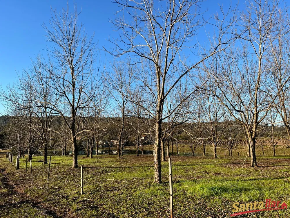 Sítio, 7 hectares - Foto 7