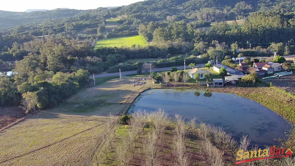 Sítio, 7 hectares - Foto 4