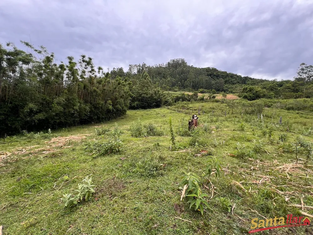 Chácara, 3 quartos, 20 hectares - Foto 3