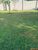 Terreno, 414 m² - Foto 4