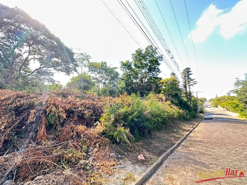 Loteamento e Condomínio, 2 hectares - Foto 4