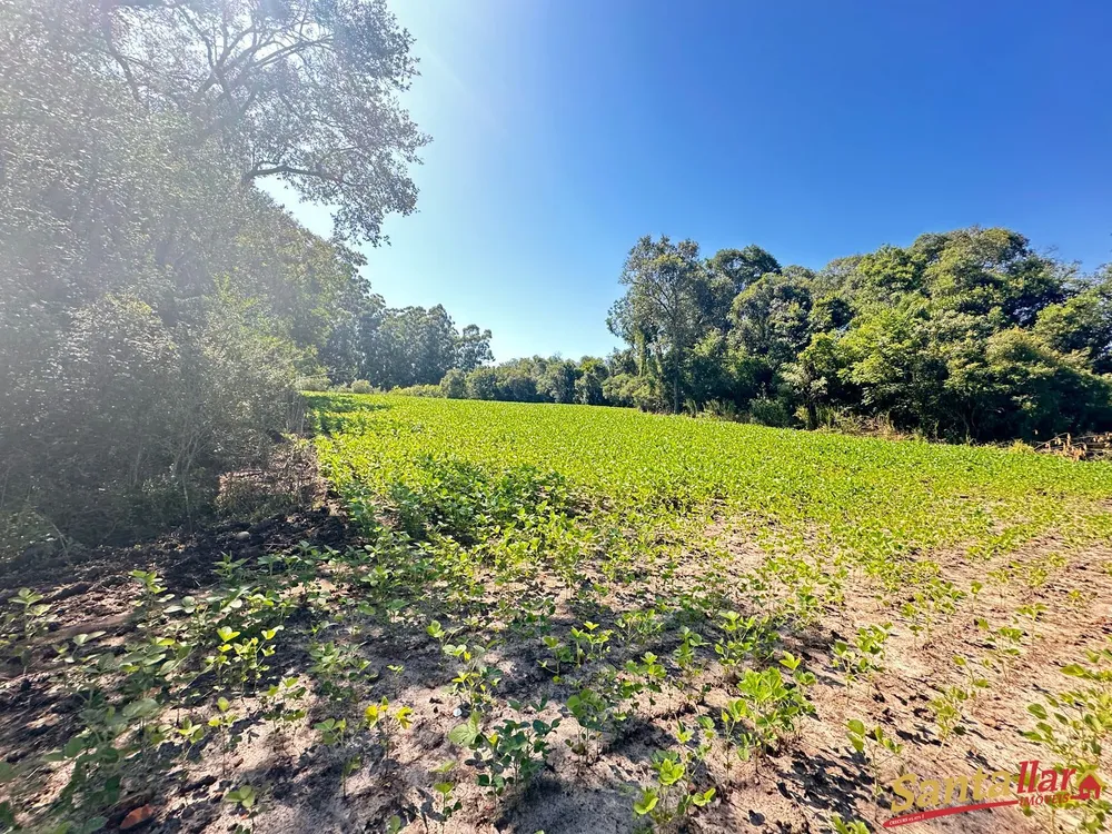 Sítio, 3 quartos, 22 hectares - Foto 6