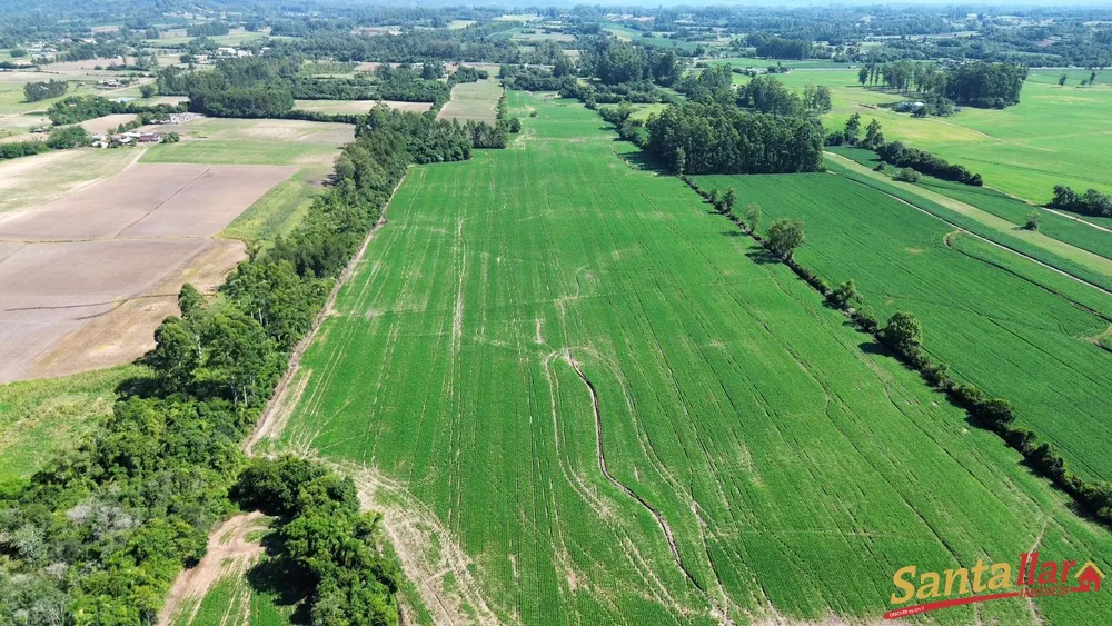 Sítio, 3 quartos, 22 hectares - Foto 4