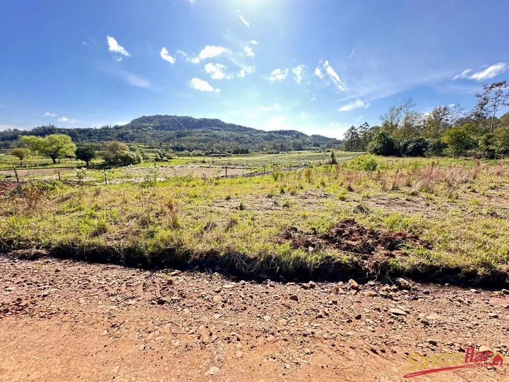 Chácara, 1 hectares - Foto 3
